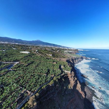 Banana Paradise Ля Оротава Экстерьер фото