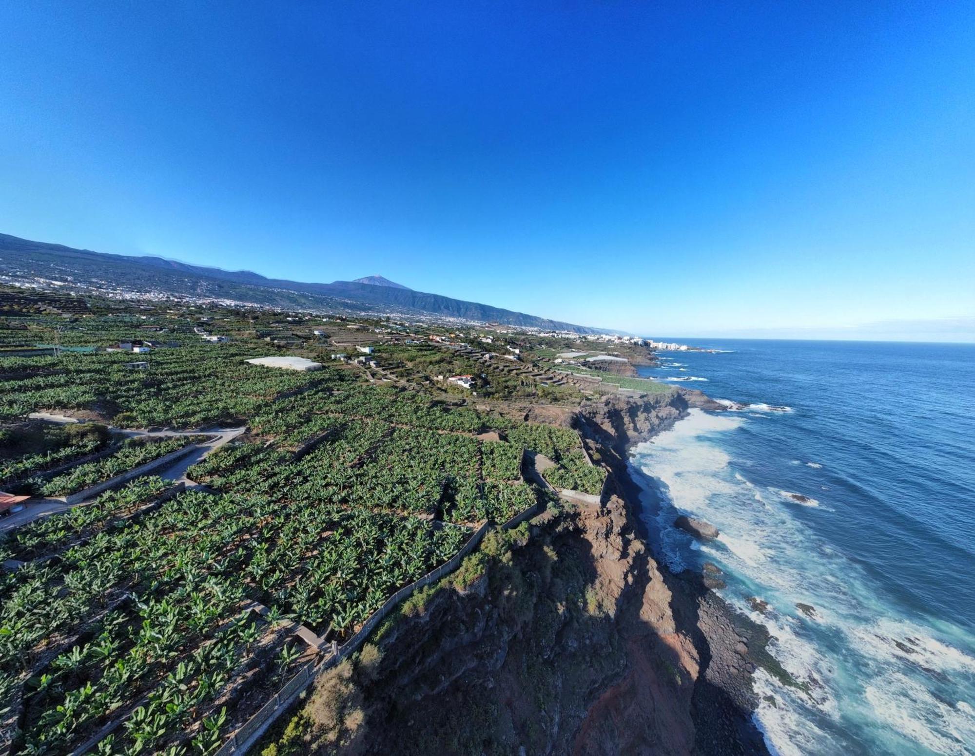 Banana Paradise Ля Оротава Экстерьер фото